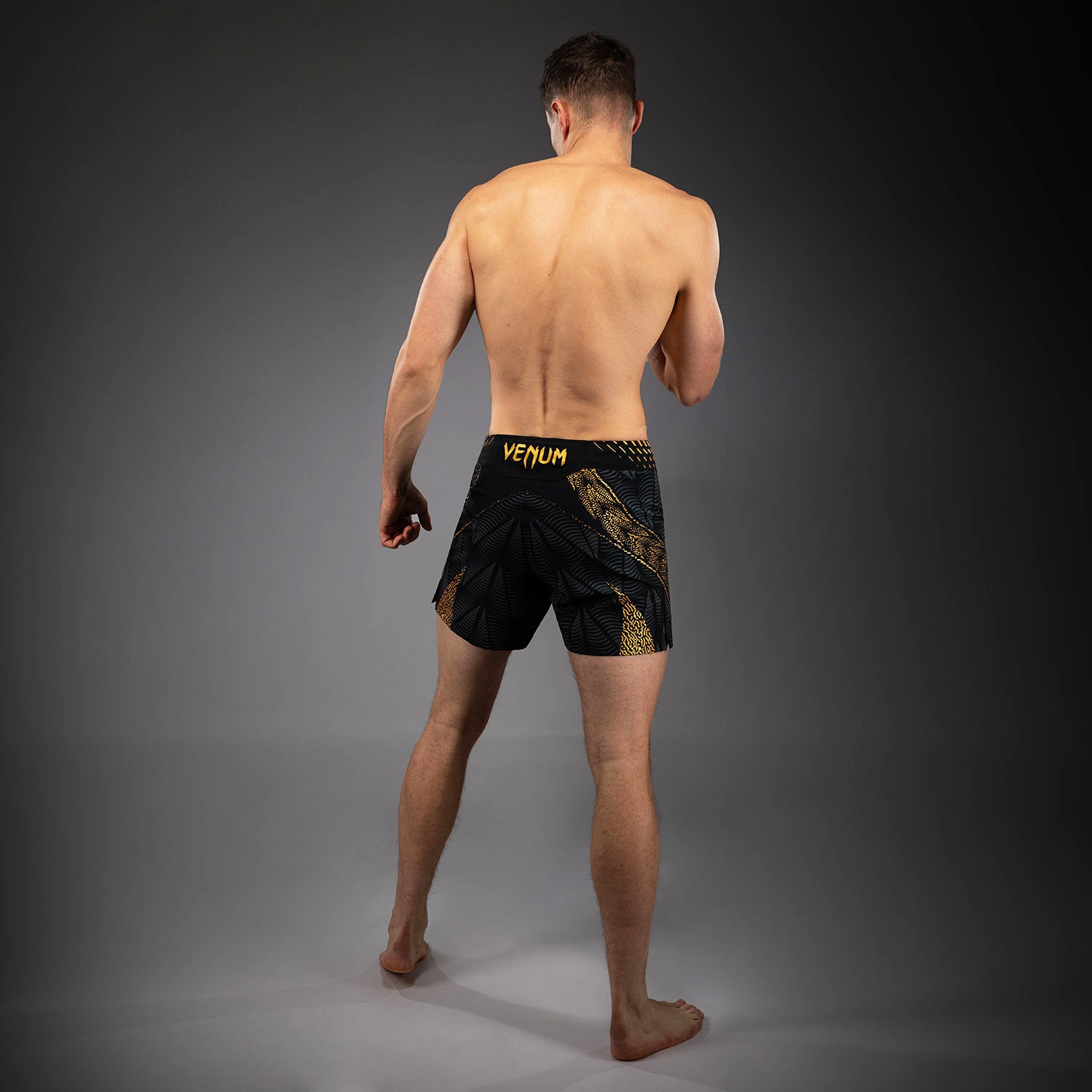 ufc-zenith-by-venum-authentic-fight-night-fight-shorts-herren-champion image 8