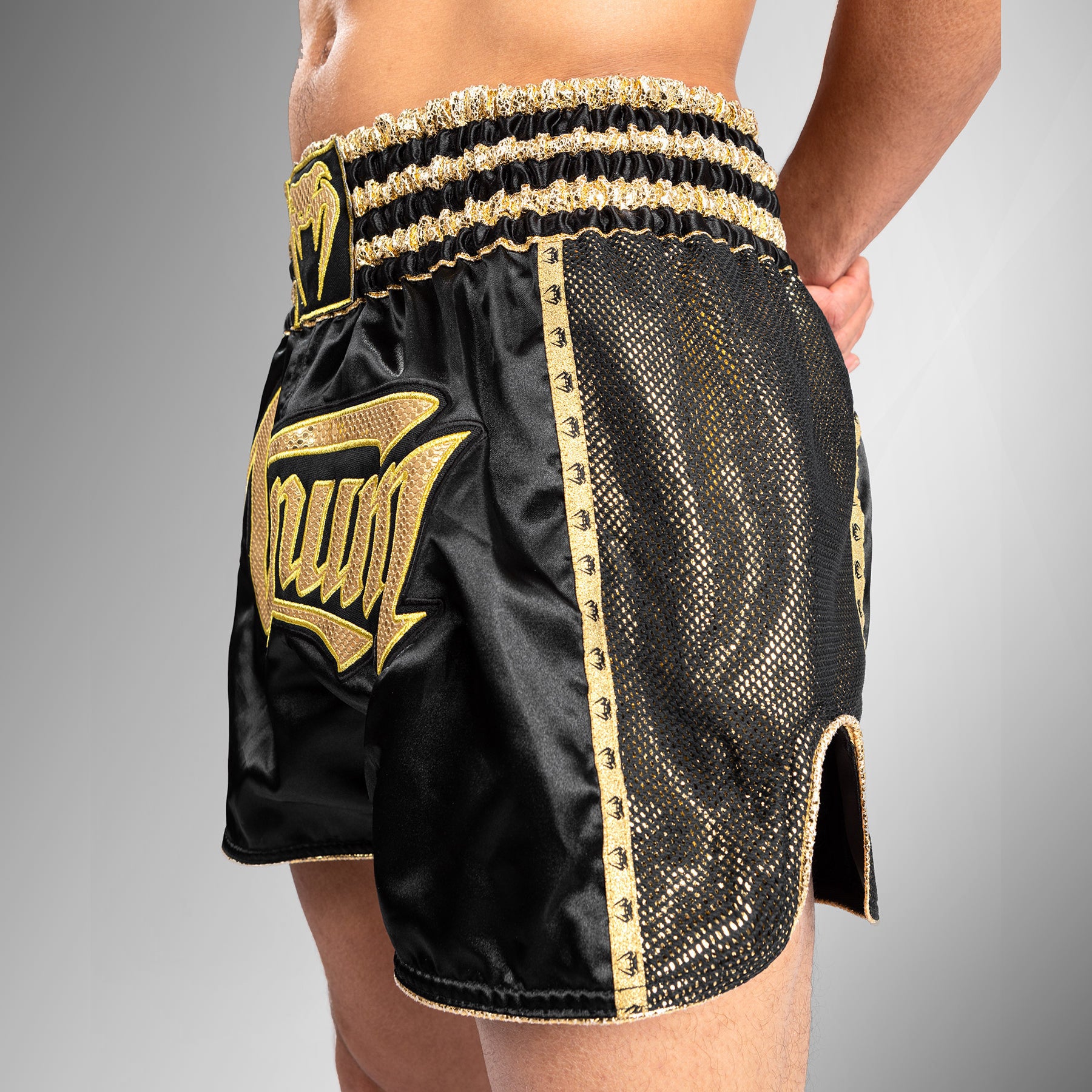 venum-absolute-2-0-muay-thai-shorts-schwarz-gold image 6