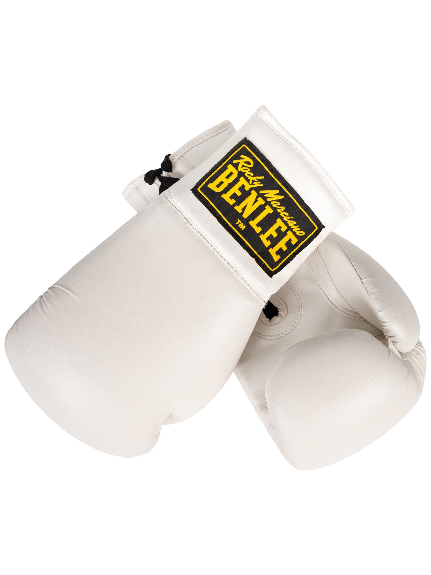 benlee-autograph-gloves-sammelhandschuh-boxen image 8