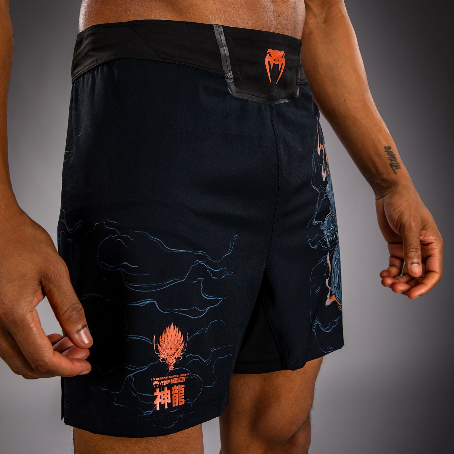 venum-thunder-dragon-fightshorts-herren-schwarz-grau-kupfer image 6