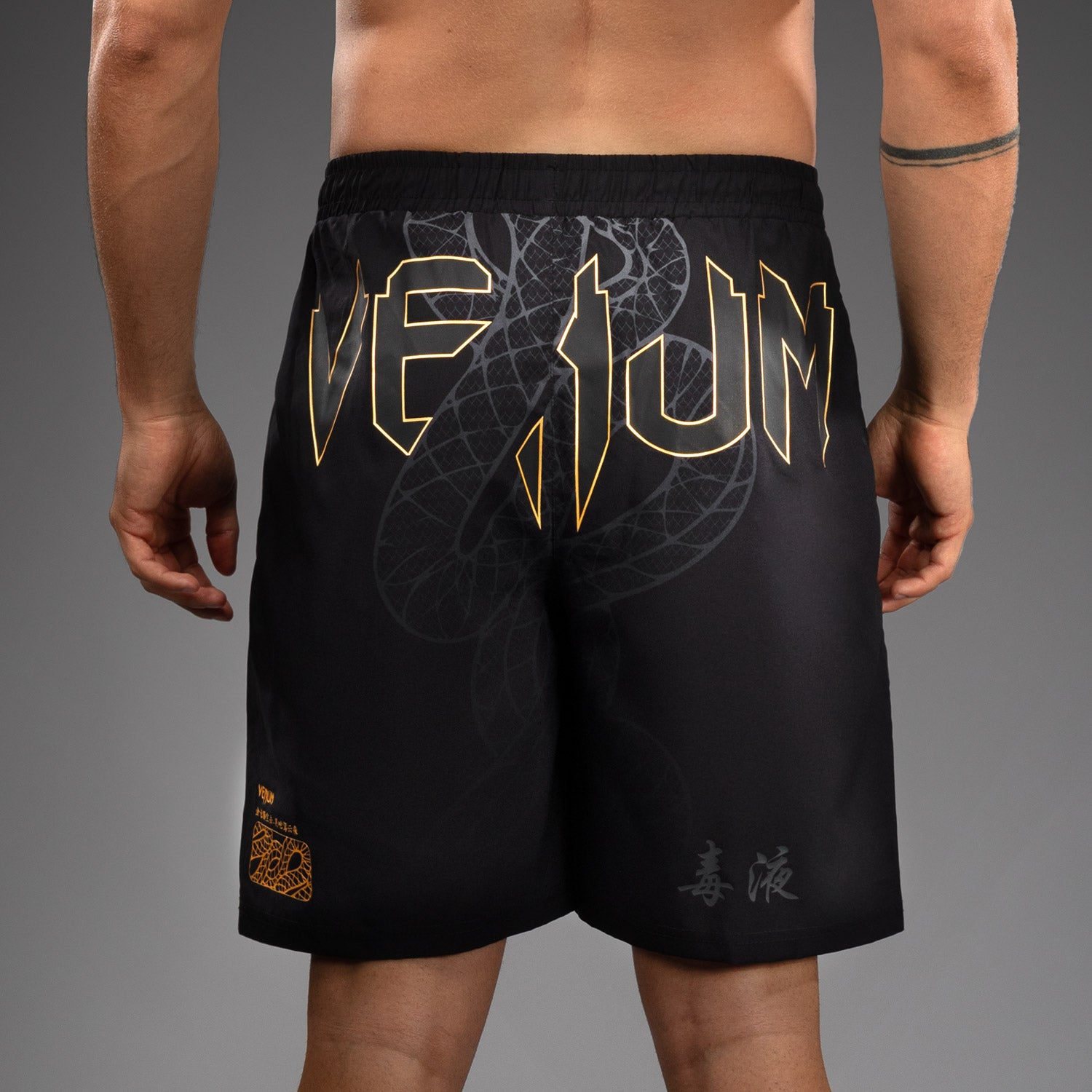 venum-serpenti-trainingsshorts-herren-lang-geschnitten-schwarz-silber-gold image 5