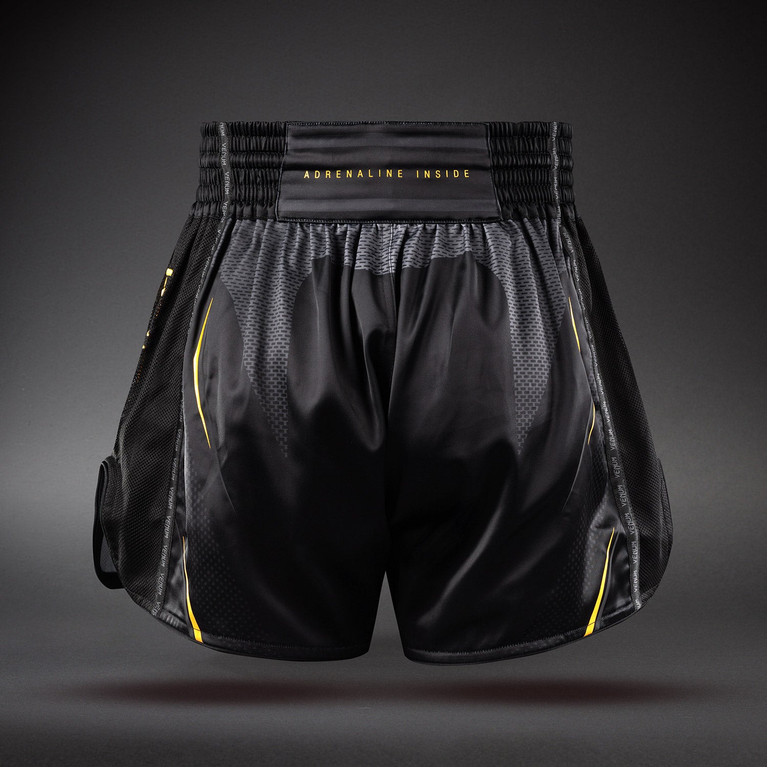 venum-g-core-muay-thai-shorts-schwarz-gold image 3