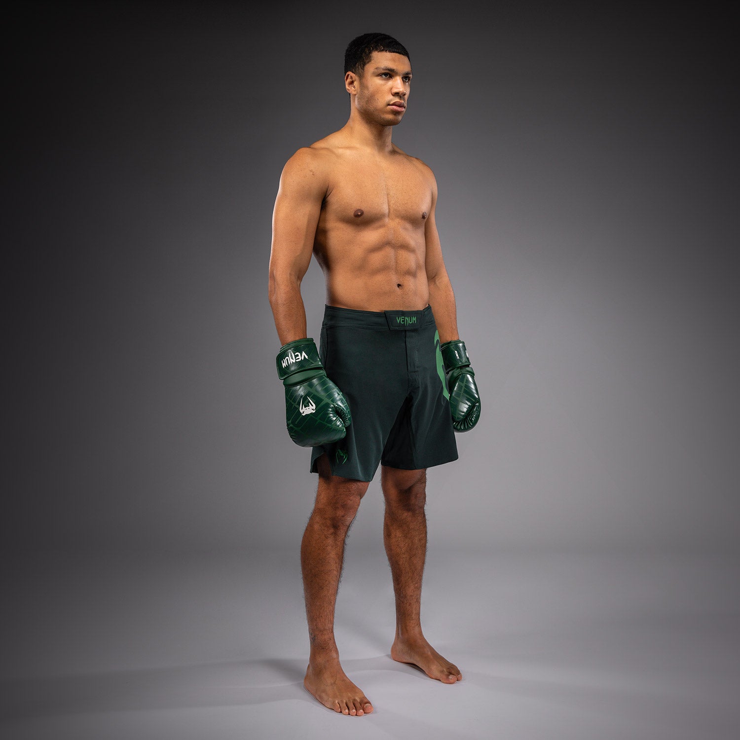 venum-light-5-0-fightshorts-waldgr-n-hellgr-n image 5